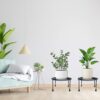 Modern Black Flower Pot Holder for Home, Balcony & Garden